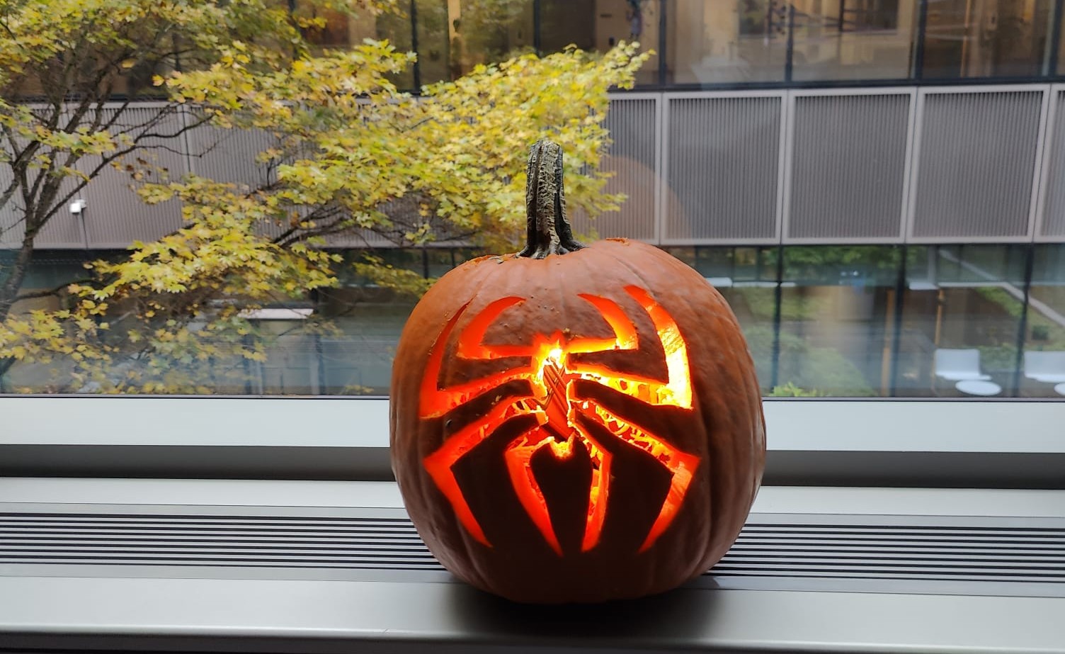 Spooky Spider